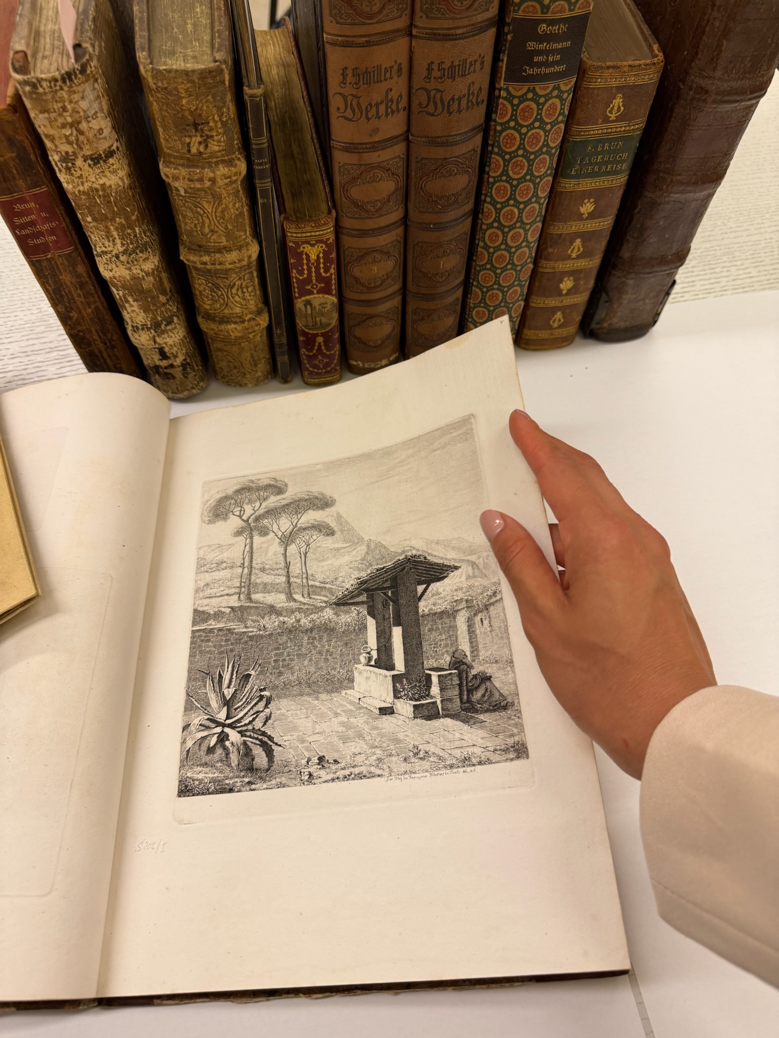 Kunst oder Krams? Das Museum Otto Schäfer freut sich auf Ihre Schätze auf Papier, über die Sie mehr erfahren wollen! Foto: Ronni Zettner